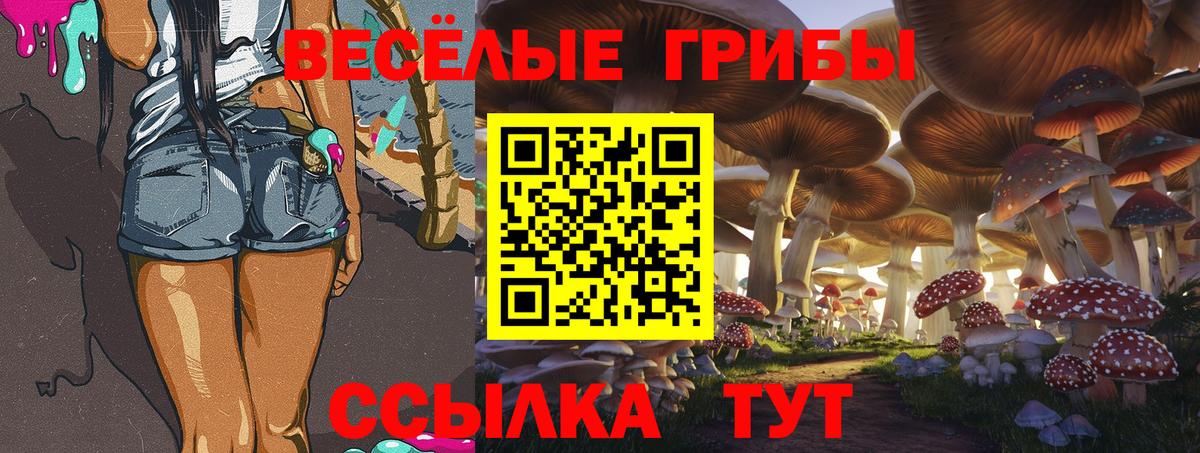 Сергиев Посад  Галлюциногенные грибы Magic Shrooms  Вход с VPN  Галлюциногенные грибы Cubensis 